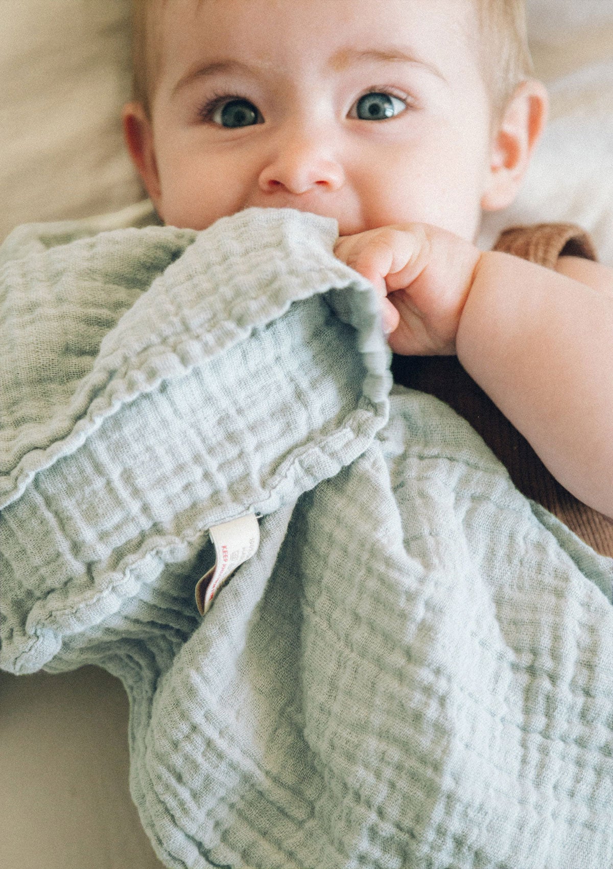 petit stellou nooshi cuddle seafoam